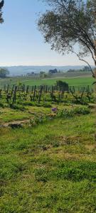 Wine Estate Loft Among Vineyards In Gers