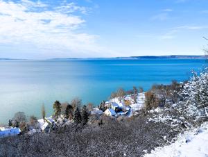 Bodorka - Csak a Tiéd!