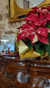 Assisi - Appartamento Maristella