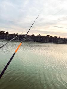 Nobel Cabins - Furillen