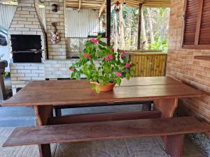 Encantos da Natureza Ratones