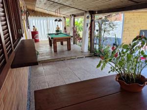 Encantos da Natureza Ratones