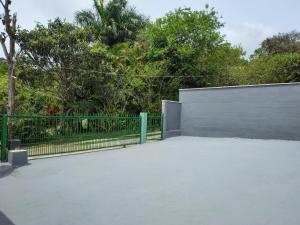 Encantos da Natureza Ratones