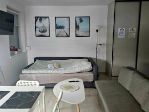 Apartament Studio Centrum