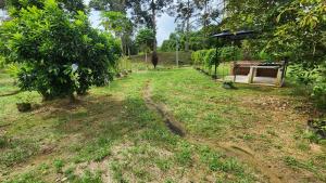 Goodwill Orchard Homestay