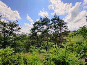 Gemütliche Weingartenhütte