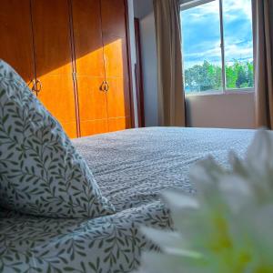 Casa di Luce - Guadalupe