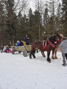 Natur House Beskidy - dom z drzewa księżycowego z SAUNĄ i BALIĄ Jacuzzi!!