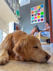 Casa di Luce - Guadalupe