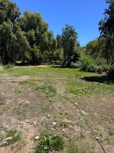 Casa Maya Modern central and pet friendly