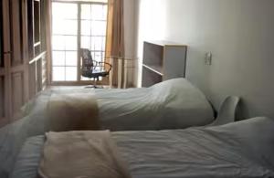 Casa bien comunicada en Zapopan