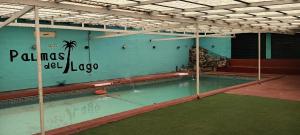 Palmas del Lago