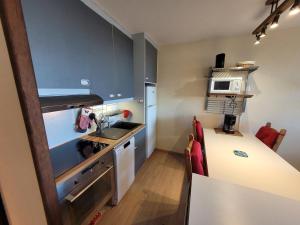 Appartement confortable, pied des pistes, animaux admis - FR-1-181-2875