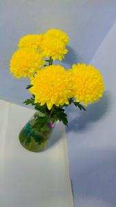 Nigam House - Dormitory in Floor Near Kareli Bank of Baroda