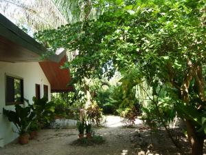 Naranjo Ferry & Roadside B&B