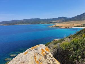 Le Balcon des Sanguinaires - studio cosy avec vue sur le Golfe dAjaccio et les Îles Sanguinaires