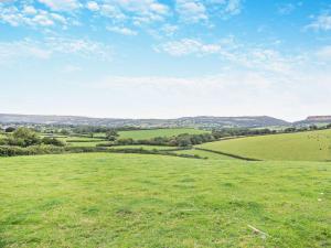 1 Bed in Betws Yn Rhos 95565