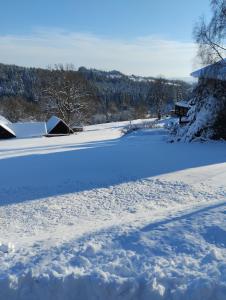 Apartmány Vila Jestřabí v Krkonoších