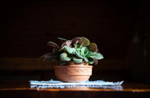 Ubytování a Keramická dílna Habartovi