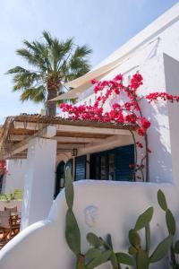 White Blue Villa formerly Ippocampi