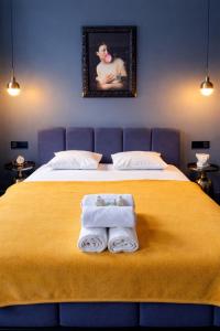 Blue Art Apartament Toruń Stare Miasto