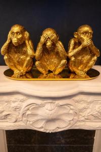 Blue Art Apartament Toruń Stare Miasto