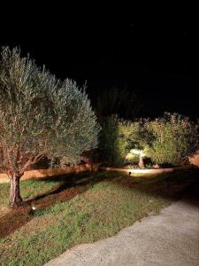 Maison familiale 8 personnes piscine privée- Les Mûriers