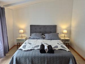 Departamento bahia fonck