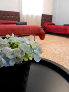 Seven B&b img13