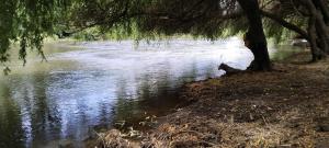 Cabaña y camping, río huaqui