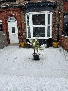 Norton Rd Guest House