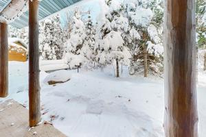 Balsam Ridge Cabin 1- Bear