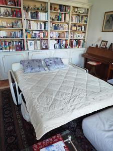 Beautiful apartment in center of Geneva, 150 m2