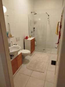 Beautiful apartment in center of Geneva, 150 m2