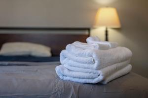 Spacious Duplex Home in Downtown Indy-Family Friendly