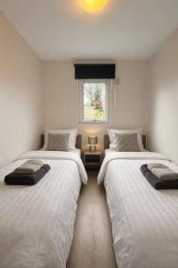 HARMONY - peace and space