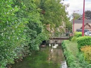 Petite Parenthèse Normande