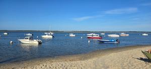 Bienvenue au Cap Ferret