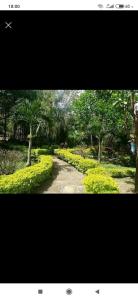 Cabaña Campestre Mariposas amarillas