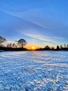 The Pods at 7 Black Crofts