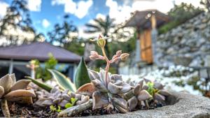 Private Mountain Sanctuary with Spa Tub