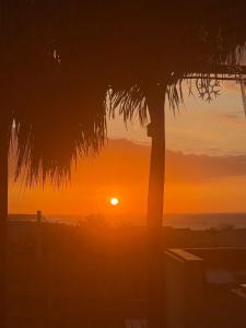 Casa Vichayito - Los Órganos