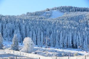 Czarna Góra Apartotel Czarna Perła 301