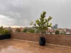 Nature-inspired Apartment in Bogotá