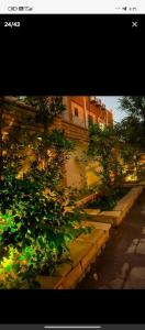 فيلا الملوك