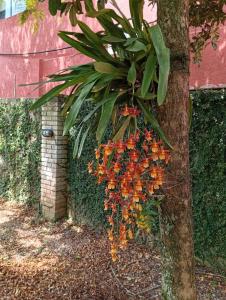 Casa com spa hidromassagem