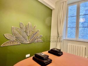 Unique apartment with parking - Laval city centre