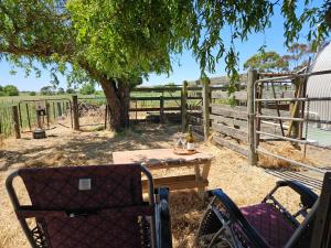 The Country Cabin with a View