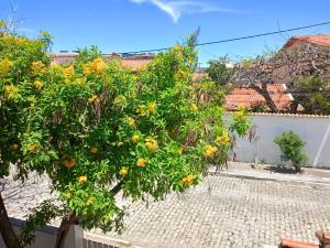 Casa da Eva