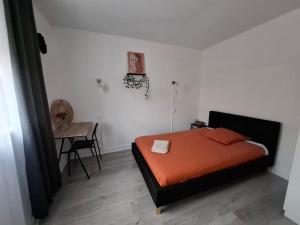 Grand 3 Bedroom Apartment Dijon